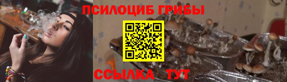 Галлюциногенные грибы GOLDEN TEACHER  Галлюциногенные грибы прущие грибы  Чусовой  Вход с VPN 